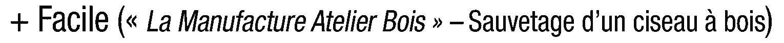debug_text_y2331.png