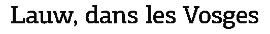 debug_text_y833.png