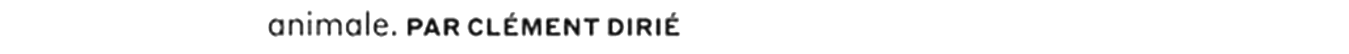 debug_text_y1287.png