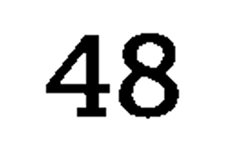 debug_number_y1391.png