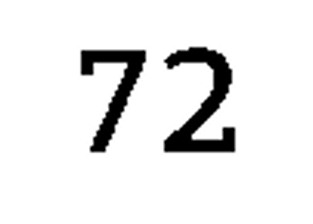 debug_number_y1243.png