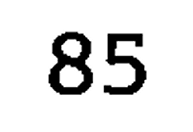debug_number_y1890.png