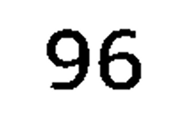 debug_number_y2310.png