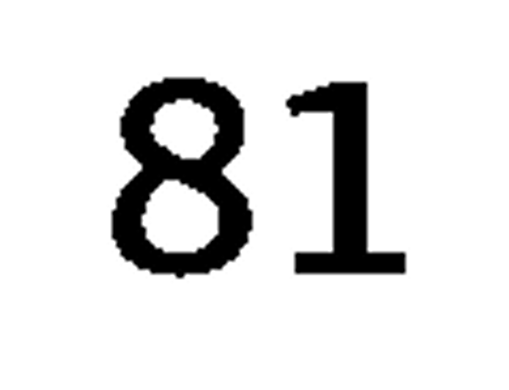 debug_number_y3739.png