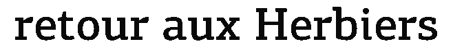 debug_text_y2893.png