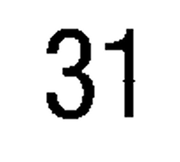 debug_number_y1666.png