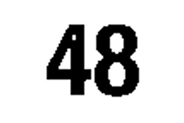 debug_number_y1348.png