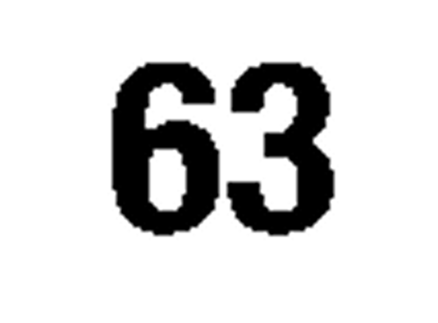 debug_number_y1742.png