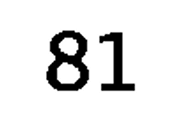 debug_number_y1306.png
