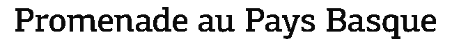 debug_text_y844.png