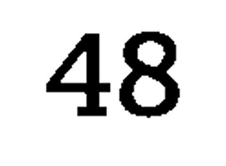 debug_number_y1321.png