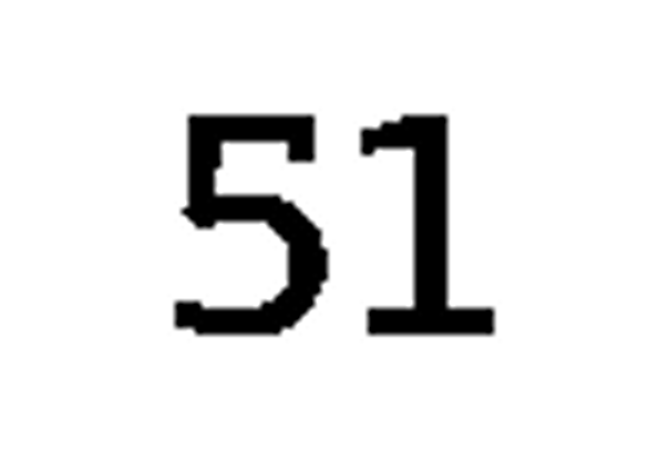 debug_number_y1135.png