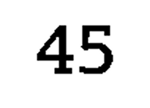 debug_number_y1076.png
