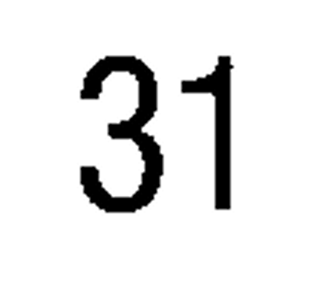 debug_number_y1596.png