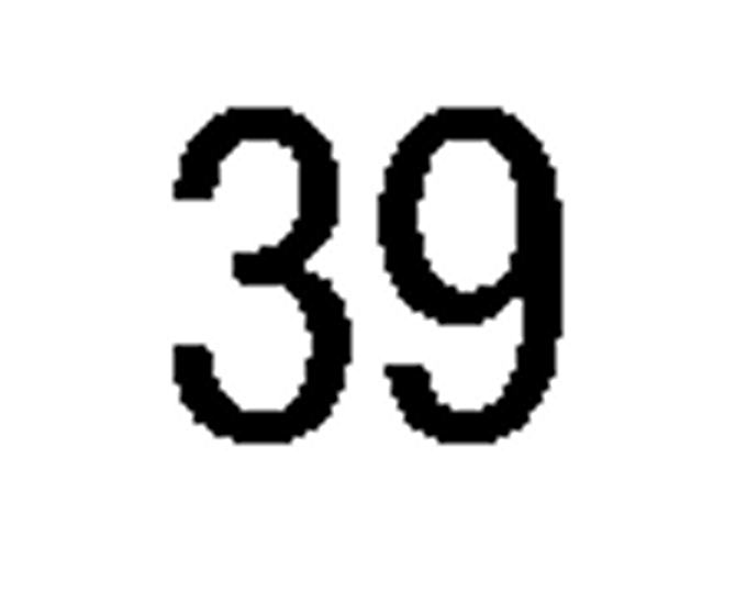 debug_number_y1828.png