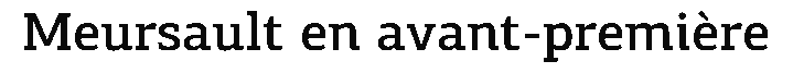debug_text_y390.png