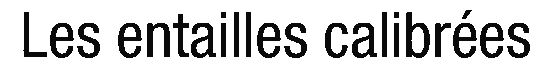 debug_text_y330.png