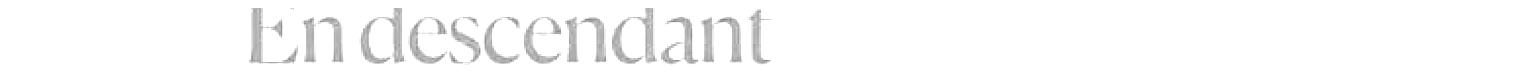 debug_text_y1198.png