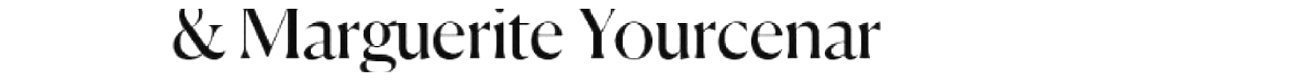 debug_text_y2413.png