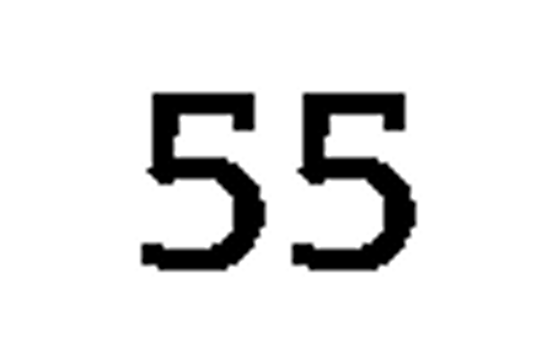 debug_number_y1342.png