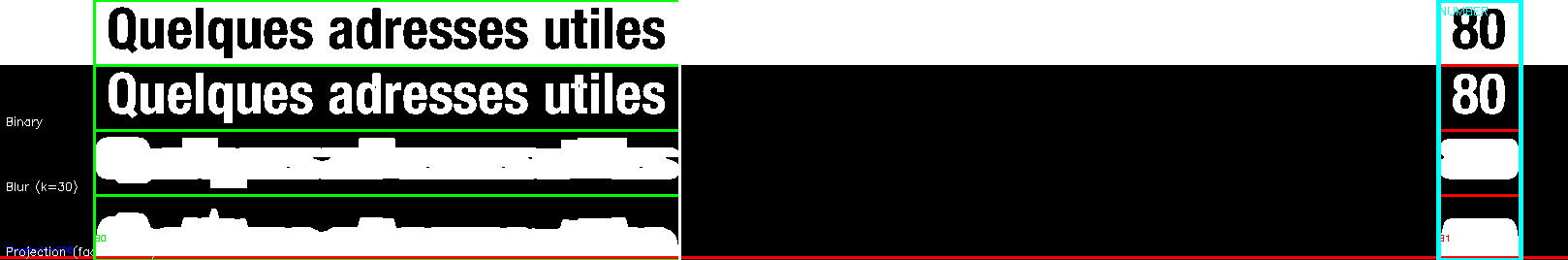 debug_line_2451.png